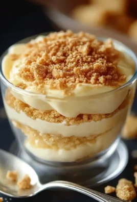 Crème Dessert Vanille aux Biscuits Émiettés : Une Recette Facile et Ultra Crémeuse